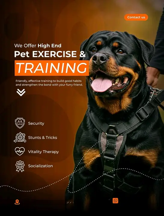 Pet Exercise & Training — High End